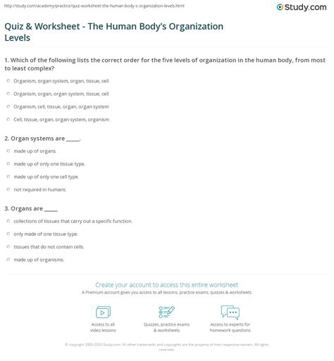 Body Organization And Structure Test Holt