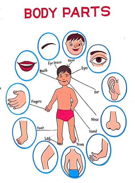 body part chute image