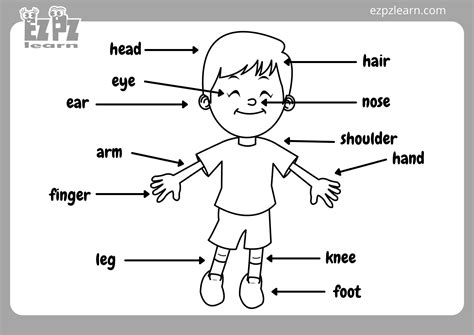 Body Parts Coloring Pages Body Parts For Kids Coloring Pages - Body Parts For Kids Coloring Pages