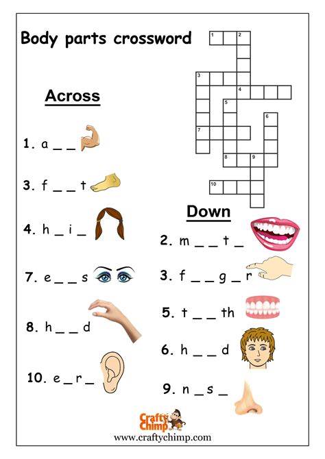 Body Parts Crossword Clue   Body Part Crossword Puzzle Clues - Body Parts Crossword Clue