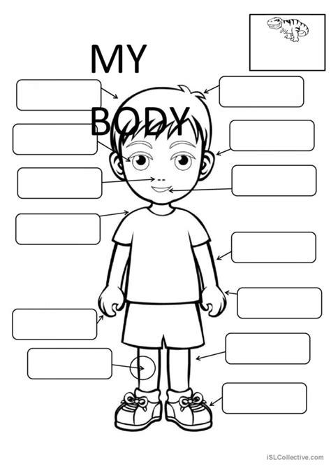 Body Parts Fill In The Blanks Exam Teaching Body Parts Fill In The Blanks - Body Parts Fill In The Blanks