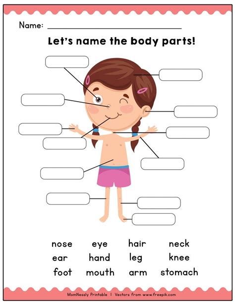 Body Parts Labeling Activity Teacher Made Twinkl Labeling Body Parts Worksheet - Labeling Body Parts Worksheet