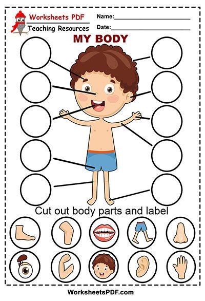 Body Parts Worksheet For Kids Cut Amp Paste Labeling Body Parts Worksheet - Labeling Body Parts Worksheet