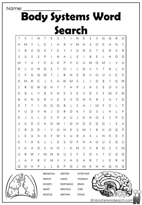 Body Systems And Responses Word Search Puzzle Body System Challenge Worksheet Answers - Body System Challenge Worksheet Answers
