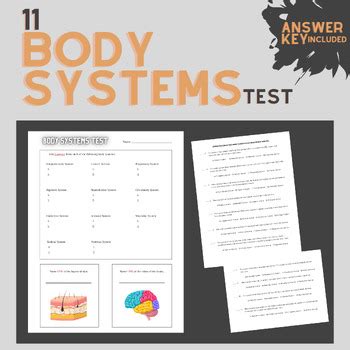 body systems challenge answer key