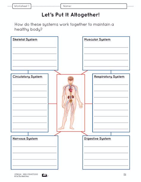 Body Systems Middle School Tutoring Grade 5 Download 5th Grade Body Systems - 5th Grade Body Systems