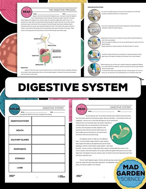 body trek digestive system answer key