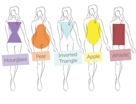 body type calculator | Body shape NINIDAvn