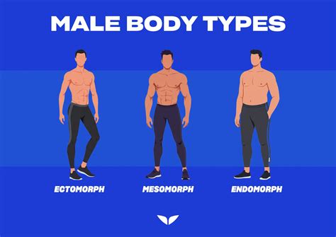 Body Types For Males