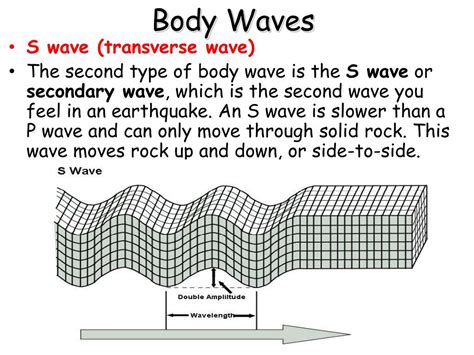 Body Waves Springerlink Body Wave Science - Body Wave Science