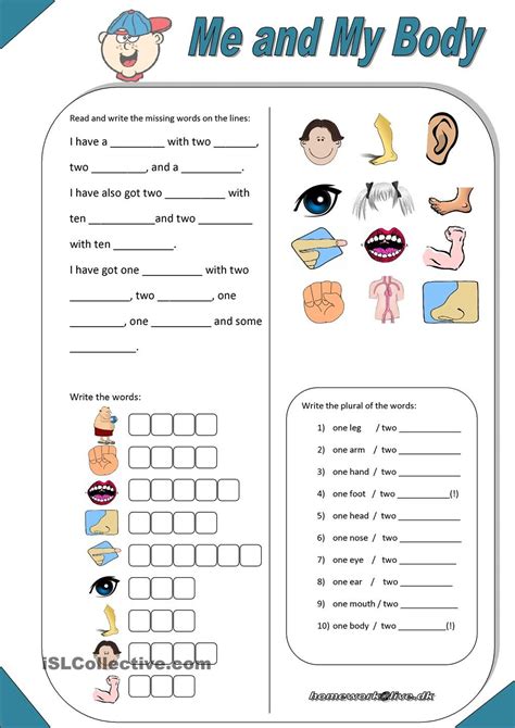 Body Worksheets All Kids Network Body Systems Matching Worksheet - Body Systems Matching Worksheet