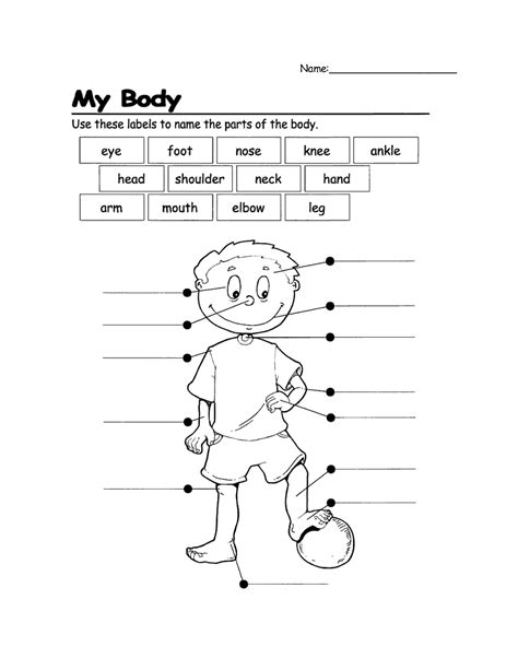Body Worksheets For Grade 1 8211 Askworksheet Body Parts Worksheet Grade 1 - Body Parts Worksheet Grade 1