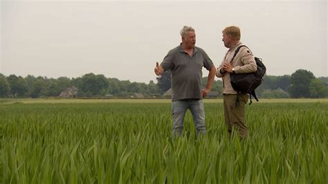 boer jos gladiolen