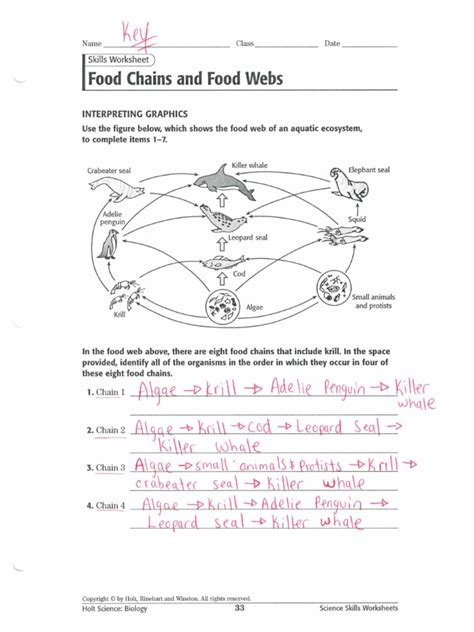 bogglesworld answer key food web