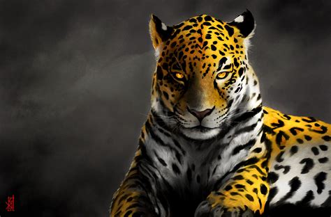 bohemia jaguar wallpaper s