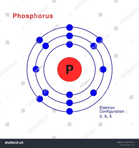 Bohr's Model Of Phosphorus