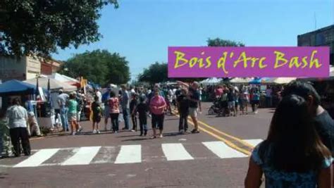 Discover the Untamed Beauty of Bois d'Arc Bash in Commerce, Texas