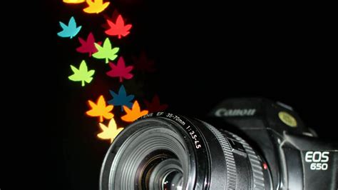 bokeh hood | Hood nhm ren xoy Ph kin nhip