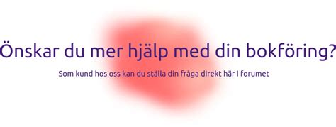 bokföra redovisningsprogram