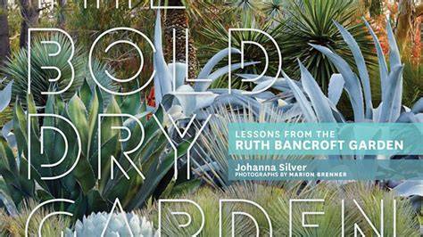bold dry garden lessons from the ruth bancroft ga