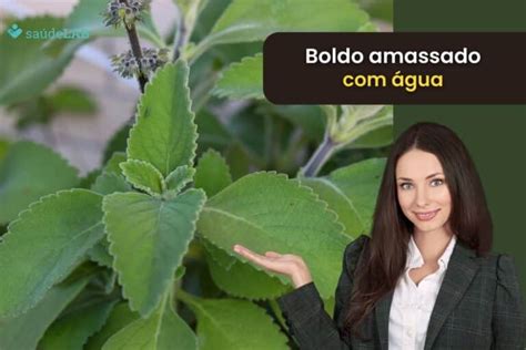 Boldo Amassado Com água