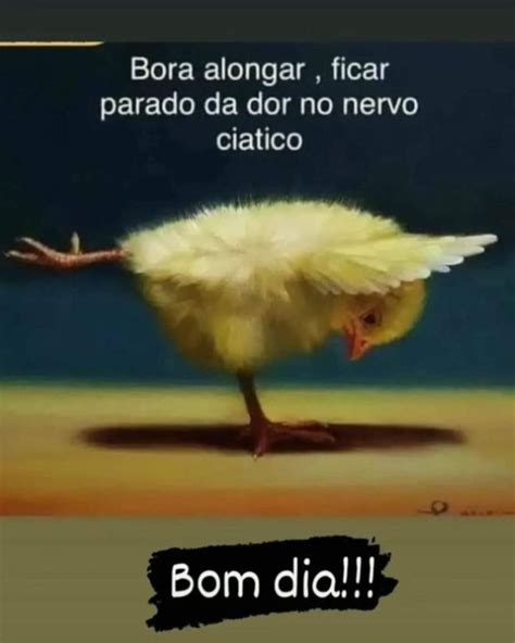 Bom Dia Com Humor