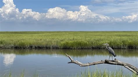 bombay hook delaware