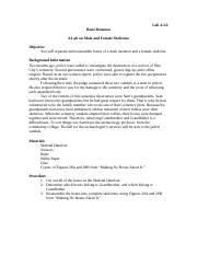 Bone Bonanza Lab Answer Key