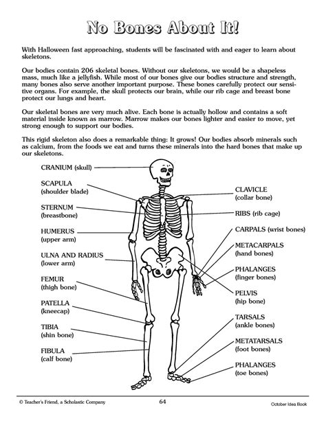 Bone Fractures Worksheet Answers   Bone Fractures And Engineering Lesson Teachengineering - Bone Fractures Worksheet Answers