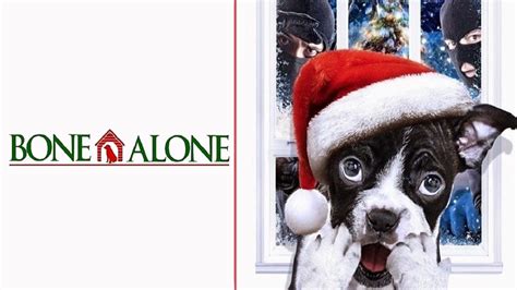 bone alone