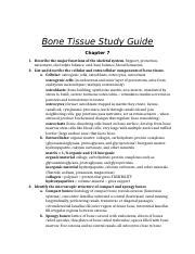 Full Download Bone Tissue Study Guide 