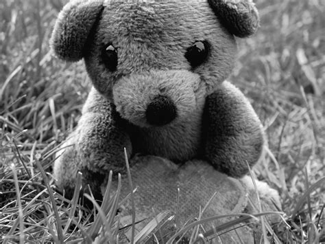 Boneka Teddy Bear Sedih