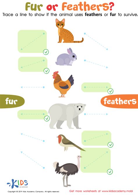 Bones Feathers And Fur Answer