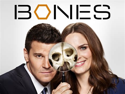 Bones The Series