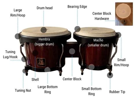 bongo faq