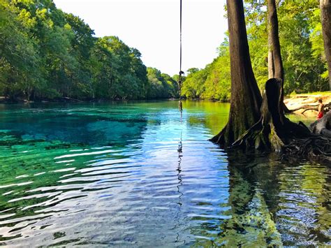 bonifay florida
