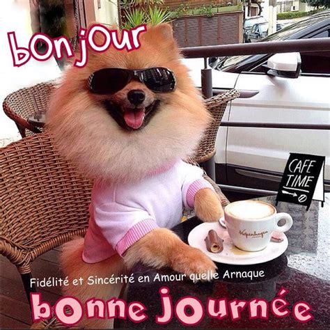  Bonjour Image Humour - Bonjour Image Humour