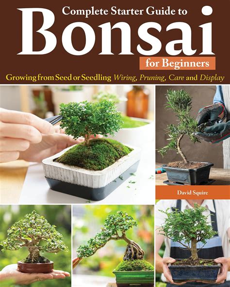 Bonsai A Complete Beginner S Guide To Grow And Cu