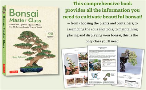Bonsai Master Guide How To Grow A Bonsai Tree 201
