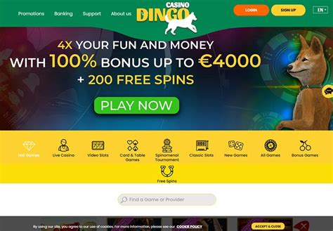 bonus code casino dingo beste online casino deutsch