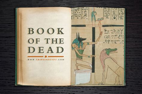 book of the dead a matt kearns novel 2 english ed