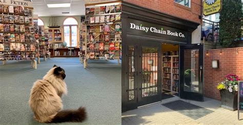 Book Stores Edmonton