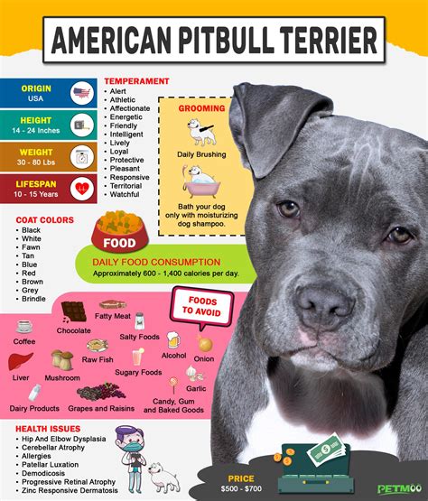 books about the american pit bull terrier breed and care and …