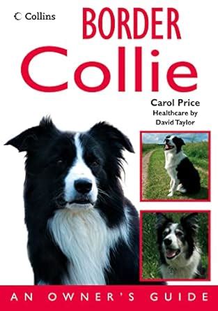 Border Collie Owners Guide
