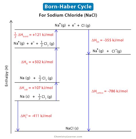 Born Haber Cycle Definition Steps Formula And Examples Born Haber Cycle Worksheet - Born Haber Cycle Worksheet