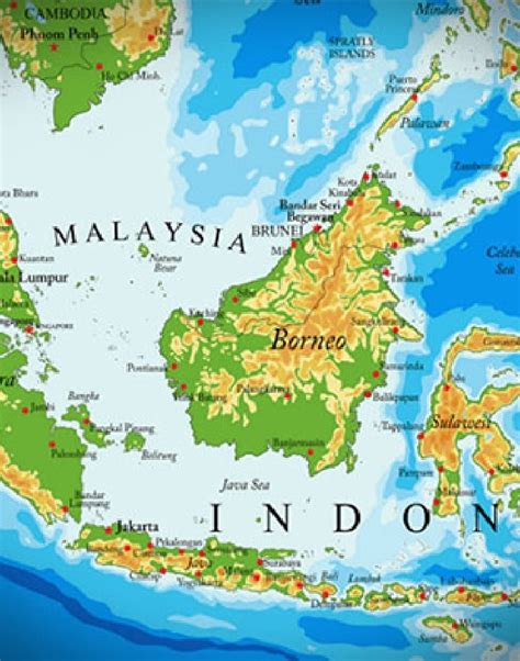 borneo | Borneo FC Samarinda Official Website Terbaru Tercepat