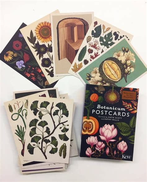 Read Botanicum Postcards Welcome To The Museum 