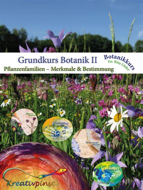 botanik set 2 bde grundkurs pflanzenbestimmung ta