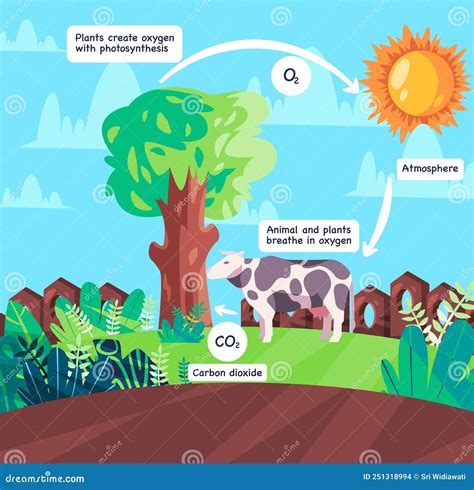 botany - If plants benefit from carbon dioxide, why is car …