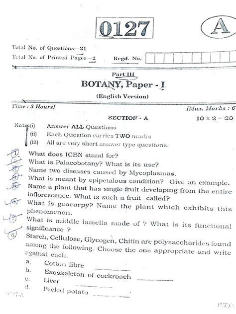 botany model exam paper bsc sixth semester